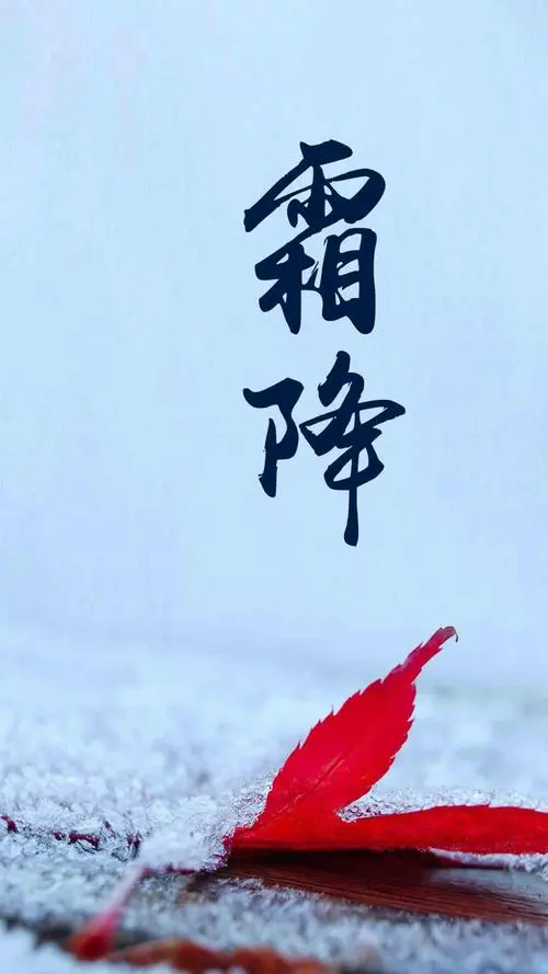 1698114418956221.jpg 1.jpg